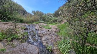 2024-01-GranCan-Barranco_de_los_Cernicalos-058.jpg